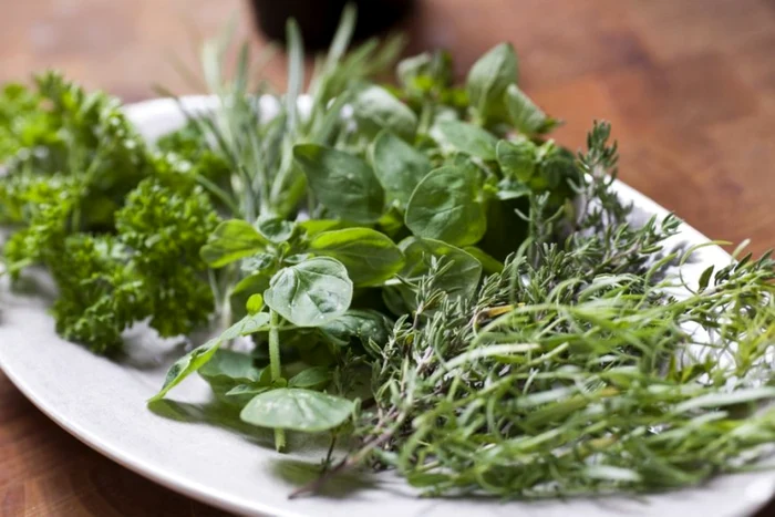 Aromatiska örter berikar smaken av rätter FOTO Sanningen