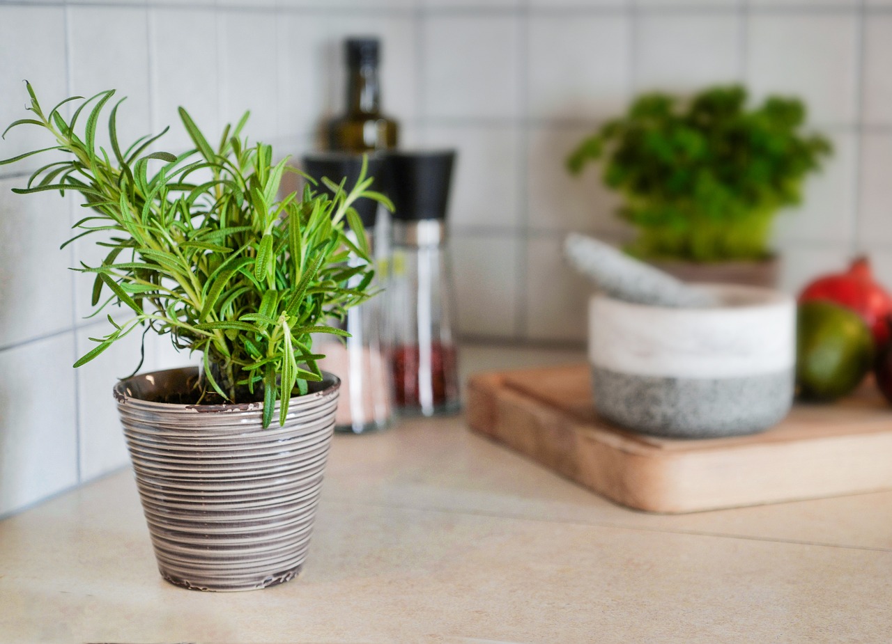 TRICK för att bli av med råttor och möss i huset PERMANENT med tandkräm: De kommer inte i närheten av huset igen!