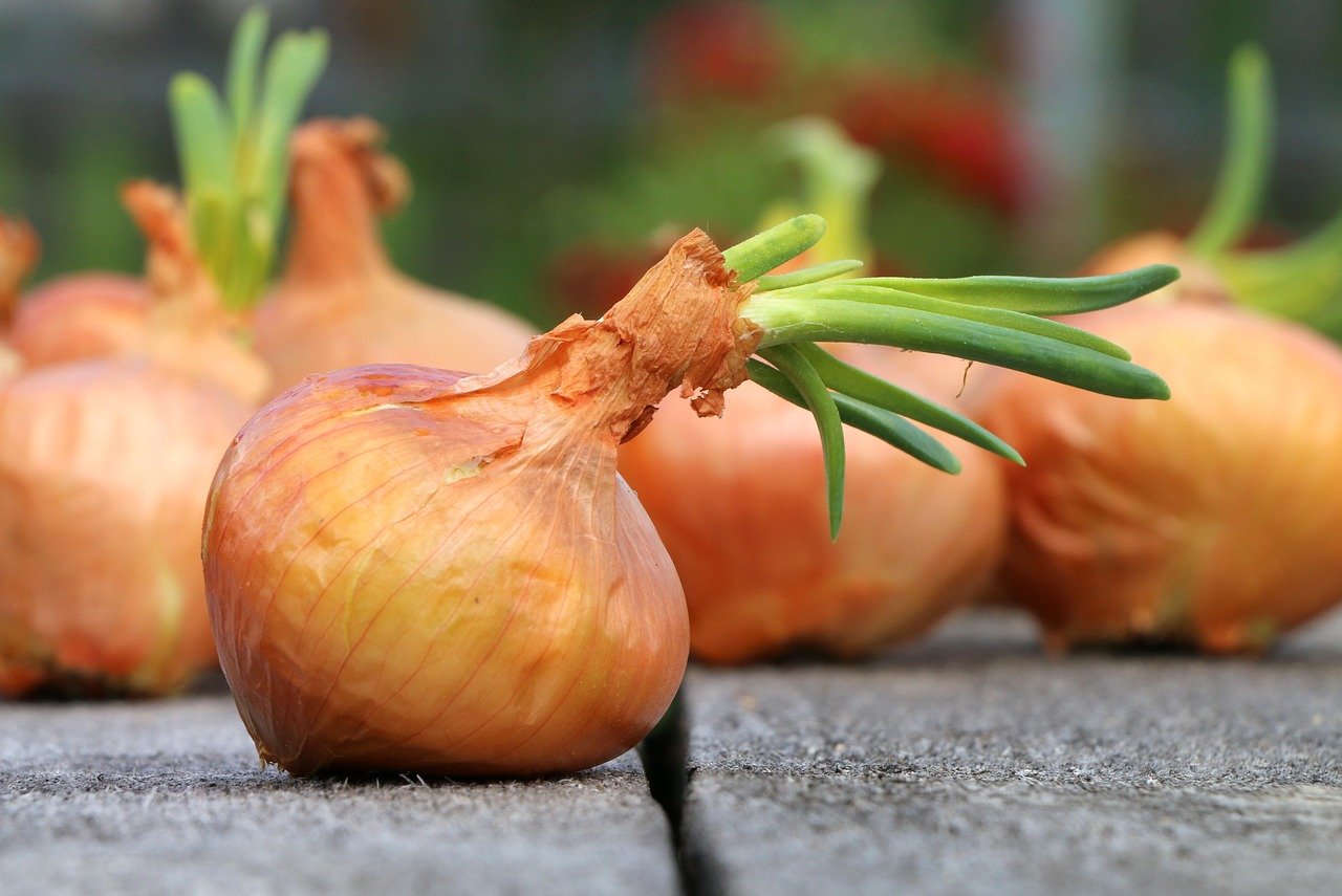 Hacka en lök och lägg den i ditt te på detta sätt: Ett 100 år gammalt läkande recept!